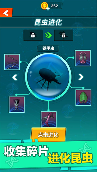 昆虫进化大乱斗 1.0 安卓版 1
