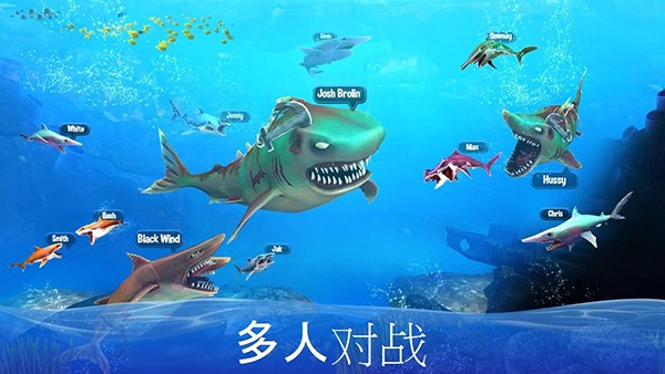 打沙鱼的 13.9 安卓版 1