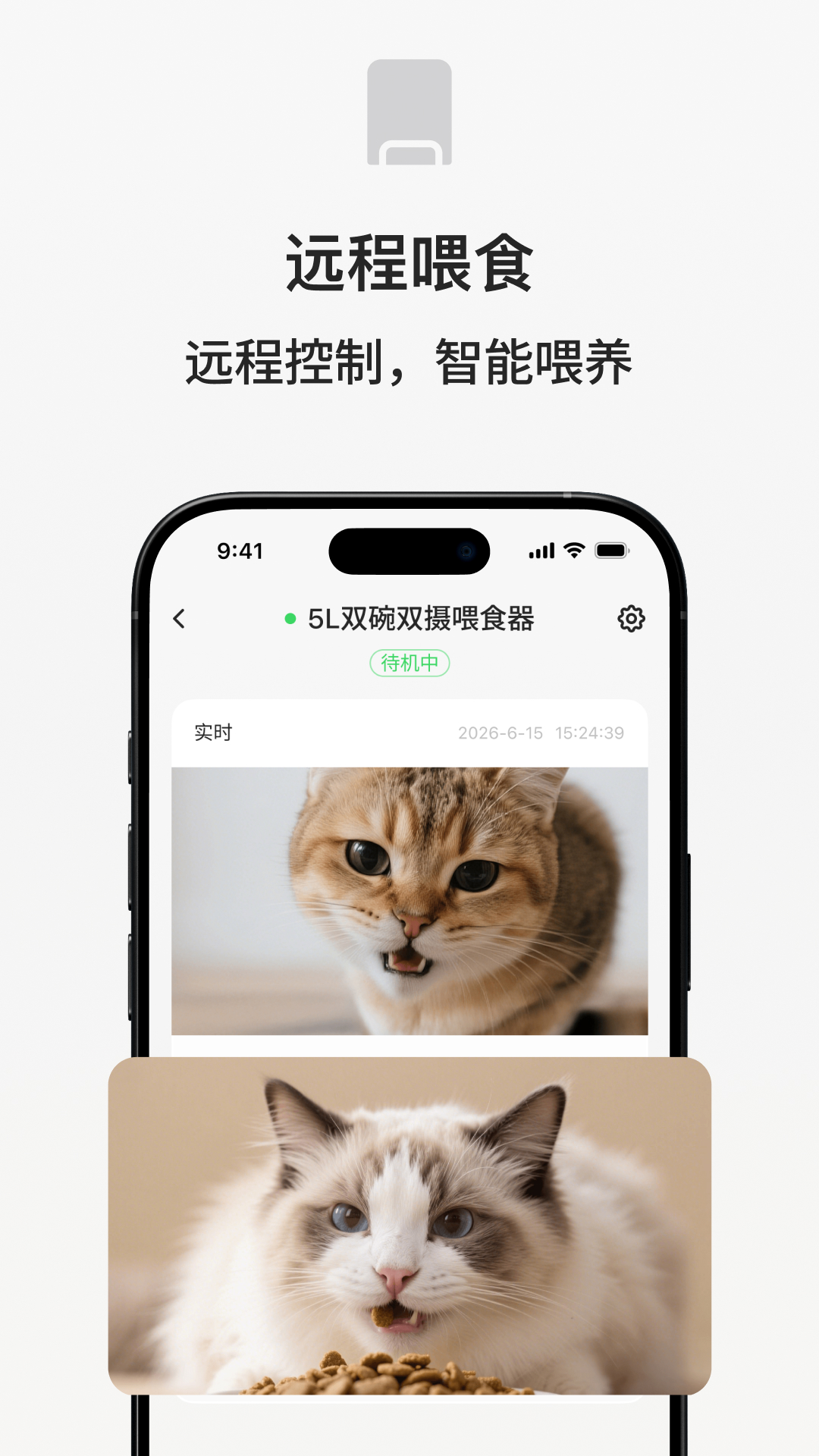 宠小吉 1.0.34 安卓版 3