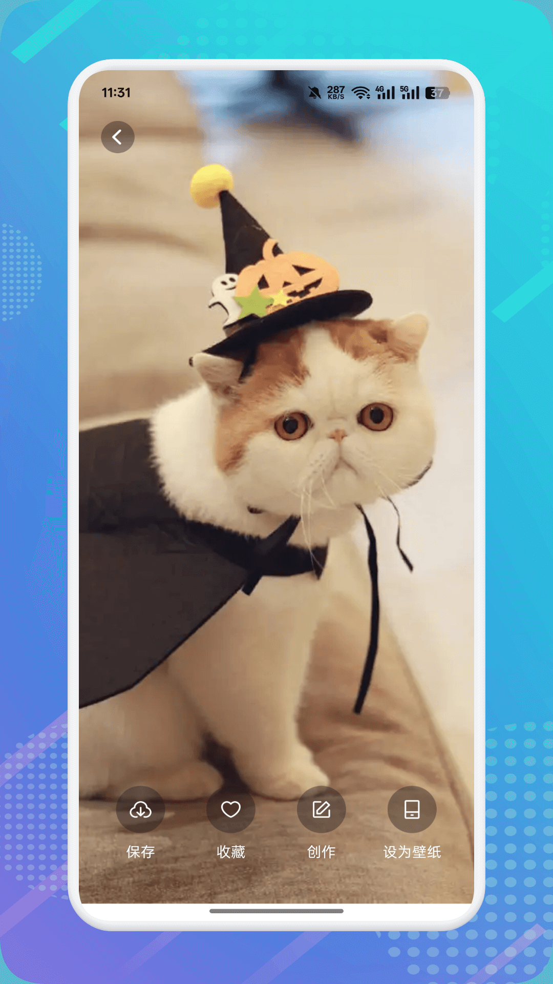 猫咪社区 1.10 安卓版 0