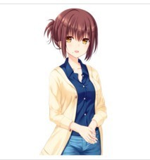 夏日口袋汉化手机版