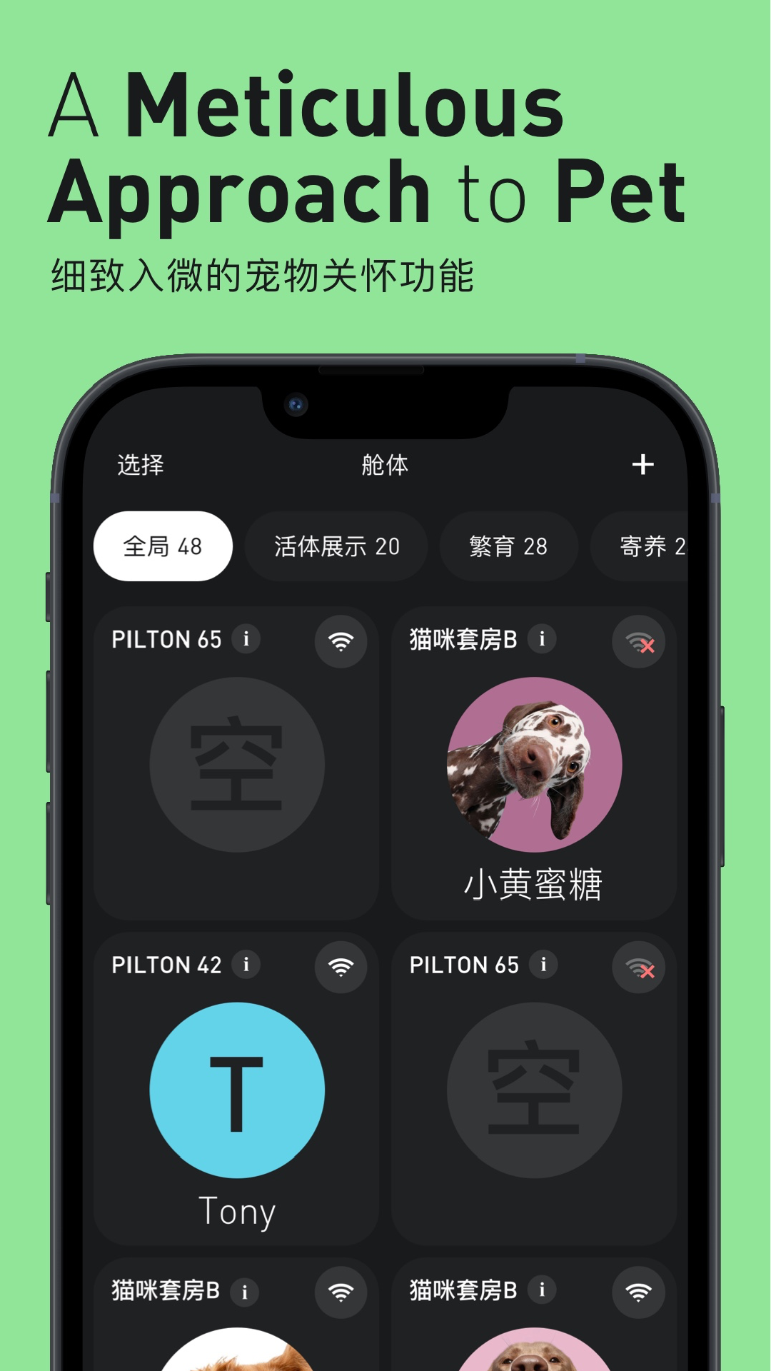 Pilton 1.1.4 安卓版 1