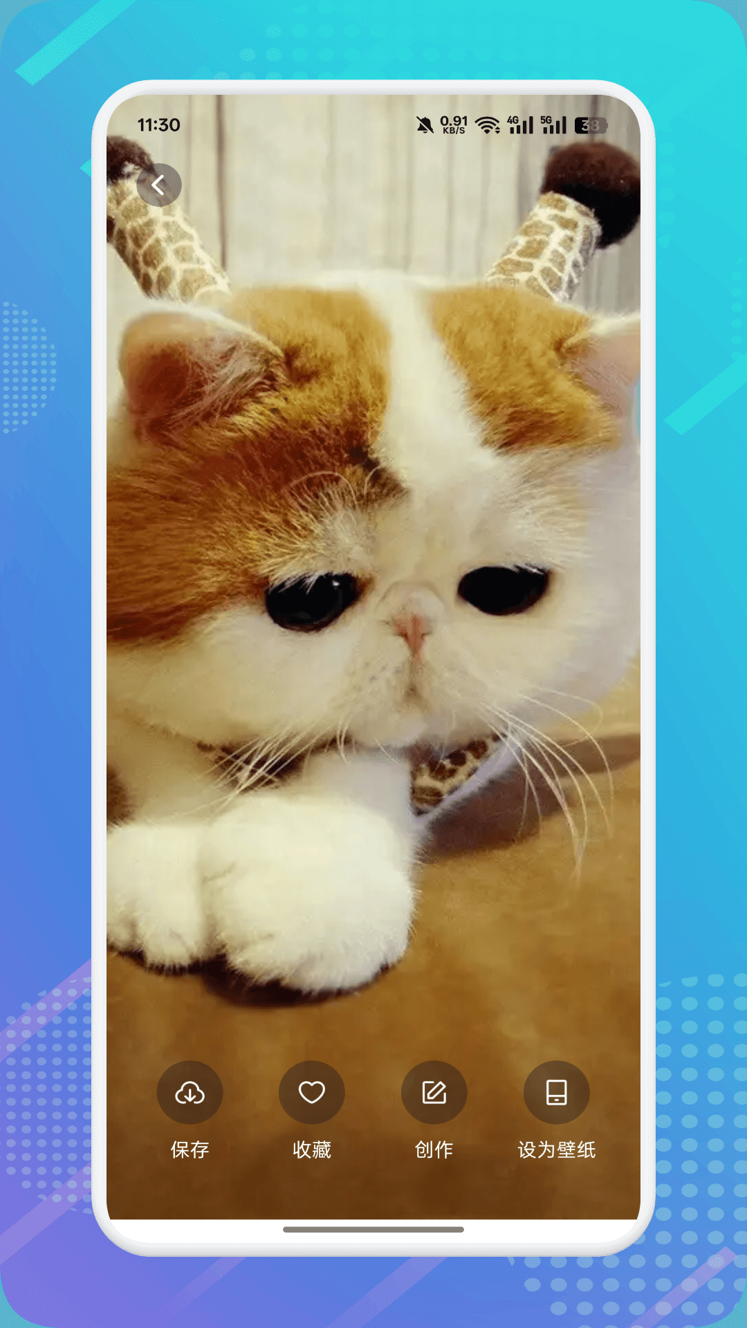 猫咪社区 1.10 安卓版 3