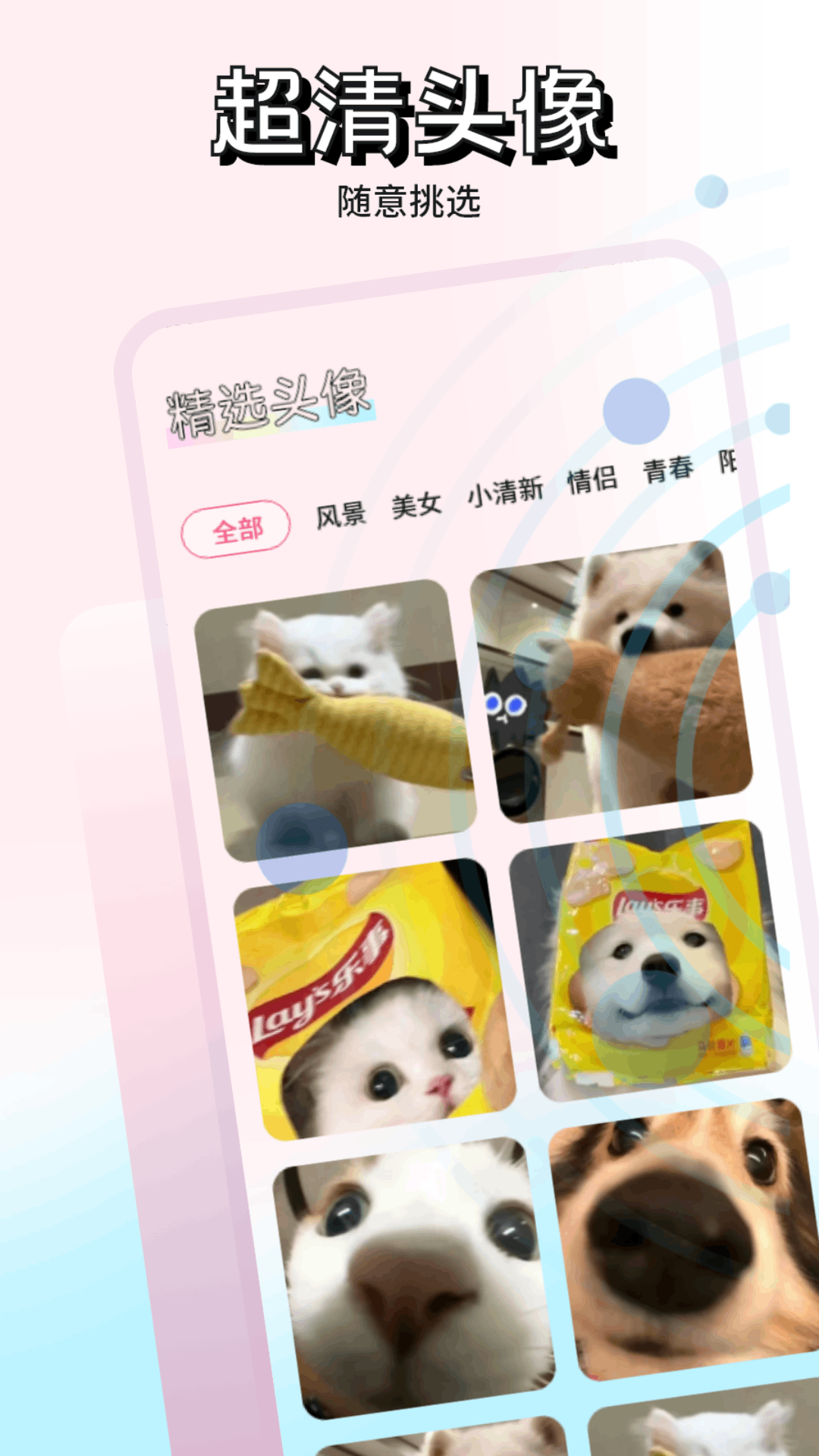 TalkTalk 1.5 安卓版 2