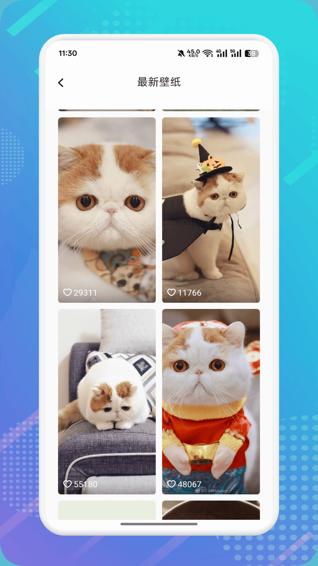 猫咪社区 1.10 安卓版 2
