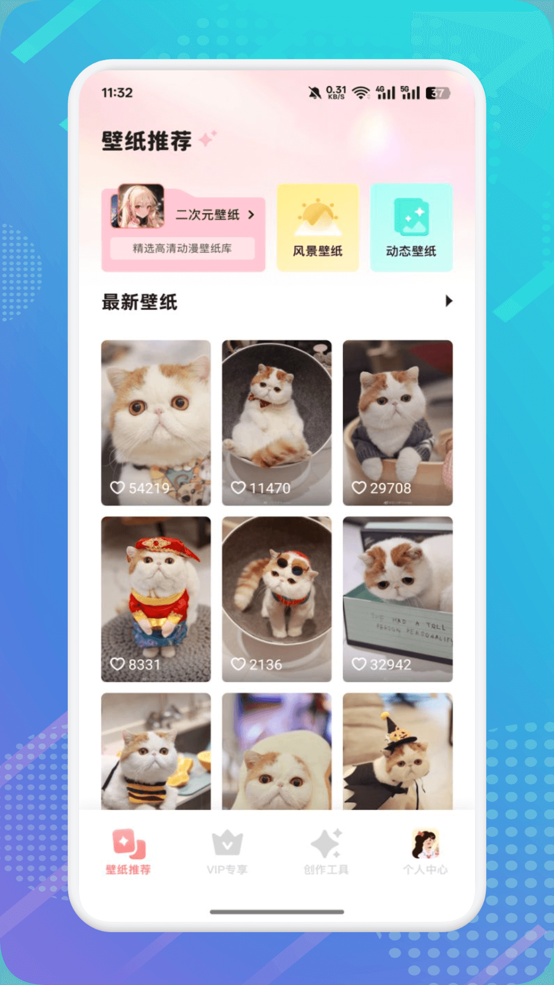 猫咪社区 1.10 安卓版 1