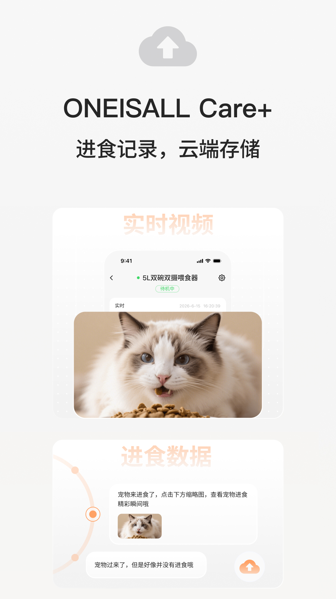 宠小吉 1.0.34 安卓版 1