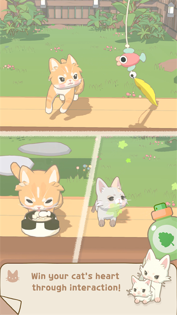 窗外的猫 1.0.7282 安卓版 3