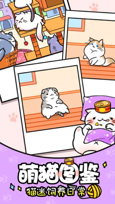 猫咪公寓 1.4.0 安卓版 1