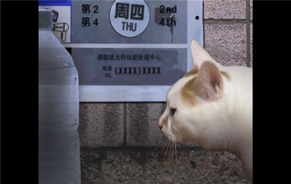 翌日猫之怪奇谭 1.0 安卓版 3