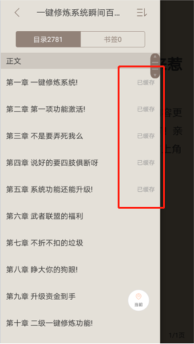 章节已缓存标记展示