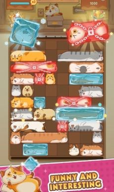 猫猫安全滑动拼图 0.2.0 安卓版 1