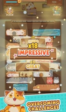 猫猫安全滑动拼图 0.2.0 安卓版 2