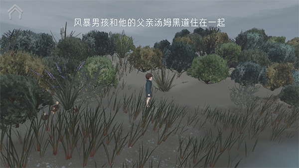 男孩与鹈鹕中文版 1.0.2 安卓版 1