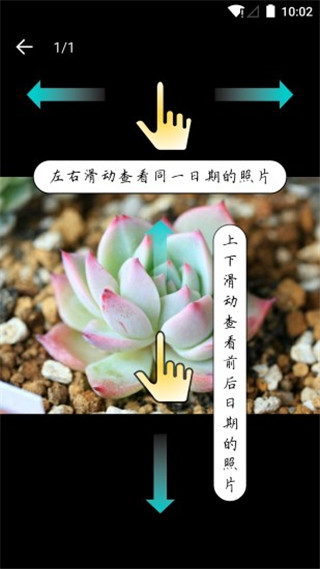 多肉成长记录表 5.0.0 安卓版 3