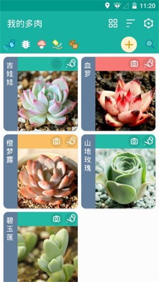 多肉成长记录表 5.0.0 安卓版 0
