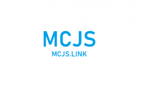mcjs undefined 安卓版 0
