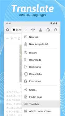 KiwiBrowser浏览器 139.0.7339.0 安卓版 0