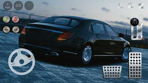 真实泊车2 5.0.0 最新版 3