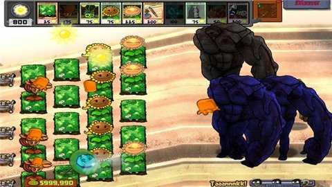 植物大战僵尸求生之路版 3.7.0 安卓版 0