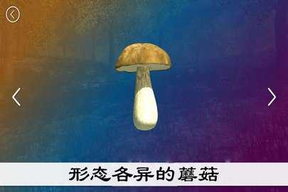 真实采集蘑菇模拟器 2.0 安卓版 0