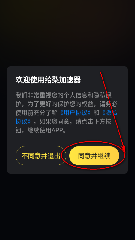 给梨加速器