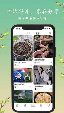 探枝 2.0.8 安卓版 1