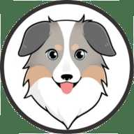 ASS牧羊犬币交易所