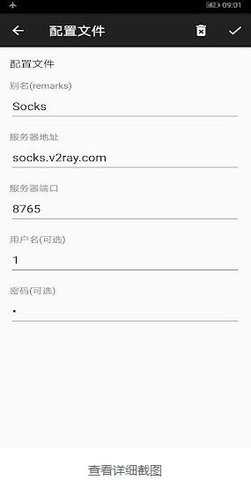 v2ray手机版 1.10.31 安卓版 1