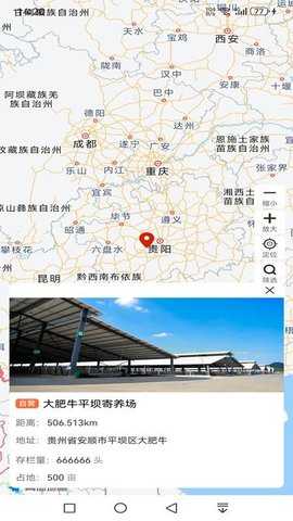 大肥牛 1.0.0 安卓版 1