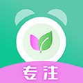 生命时间规划