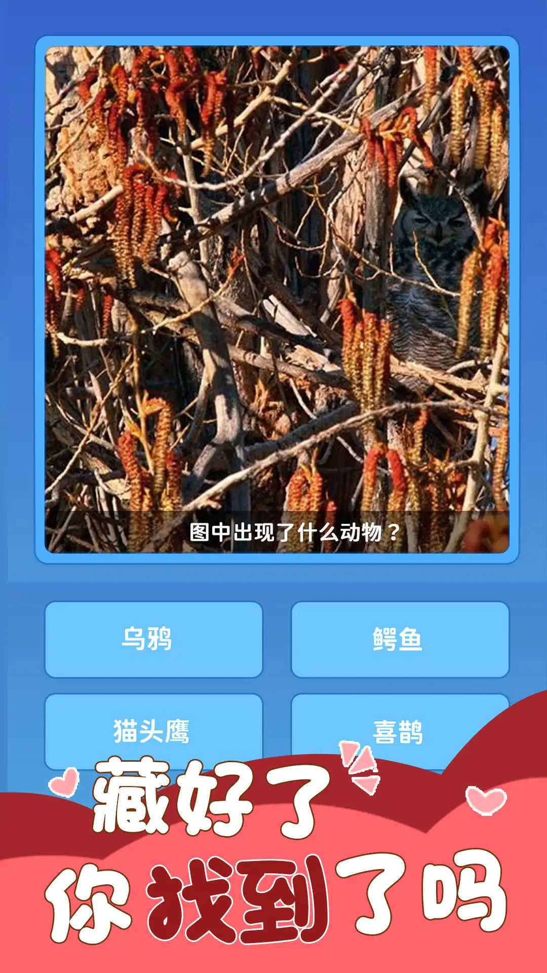 勇闯词海 2.0.0 安卓版 2