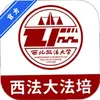 西法大法培