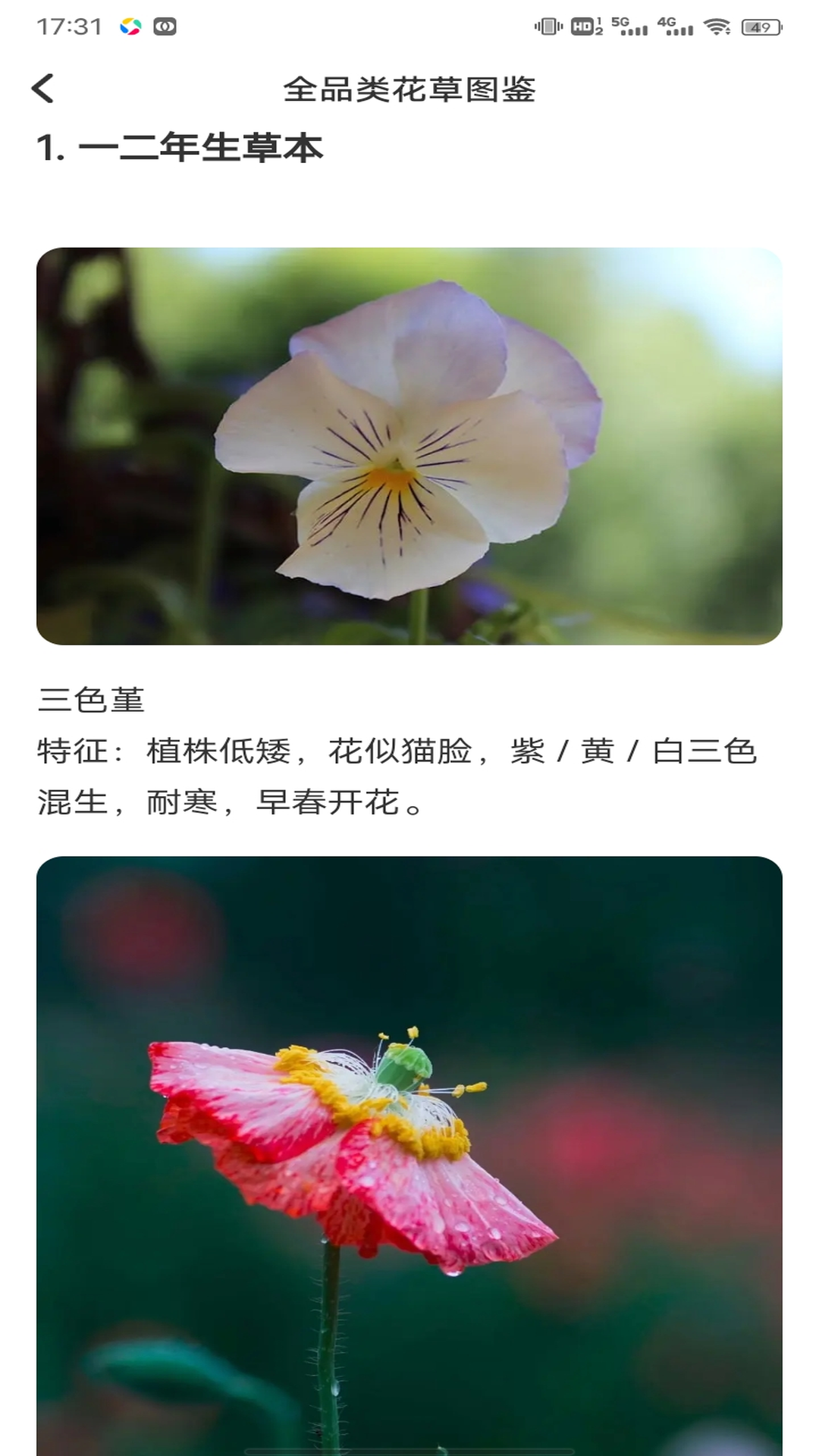 易花 1.0.3 安卓版 2