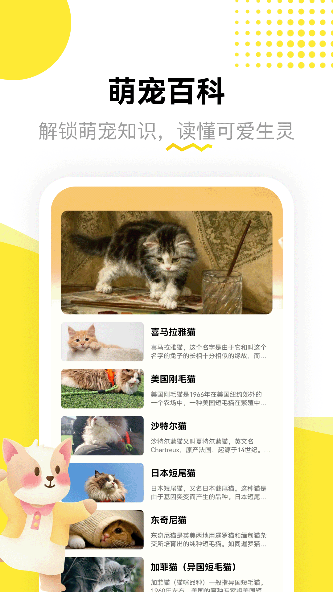 龙猫日记 5.2 安卓版 2