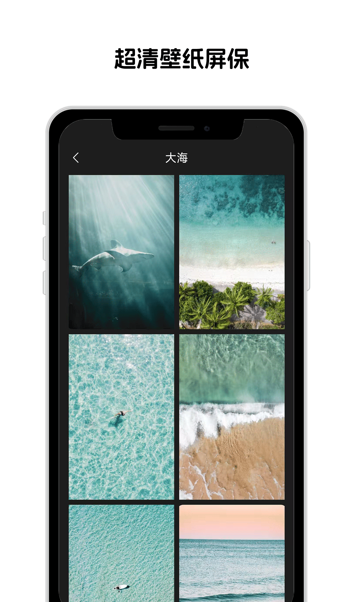靓机壁纸 1.1 安卓版 1