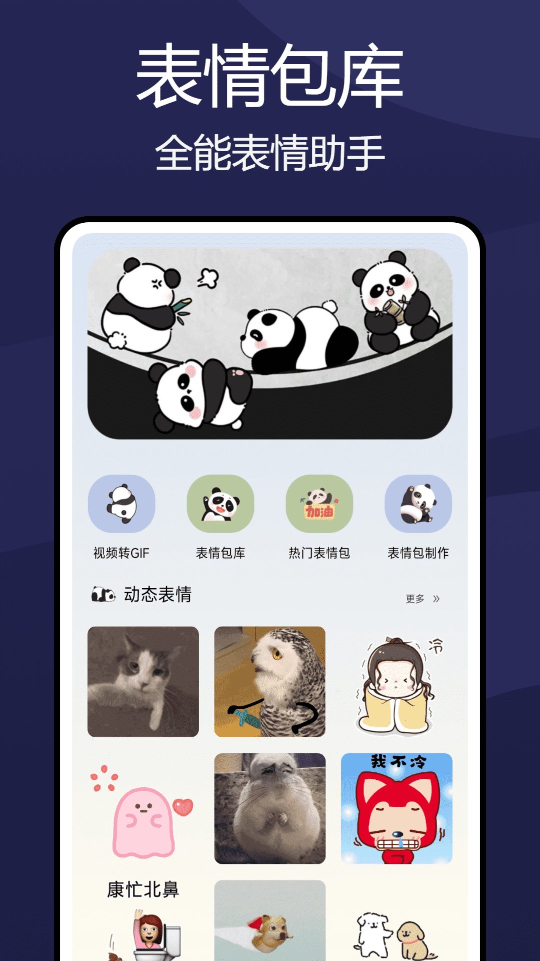 wellpaper 1.0.5 安卓版 2