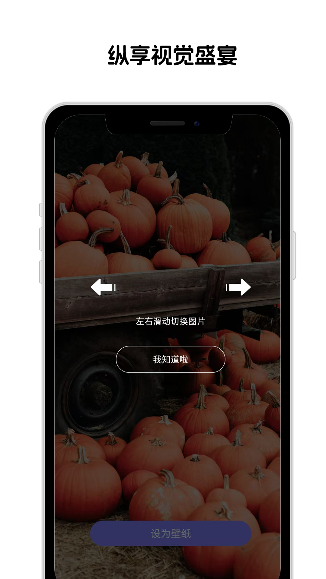 靓机壁纸 1.1 安卓版 3