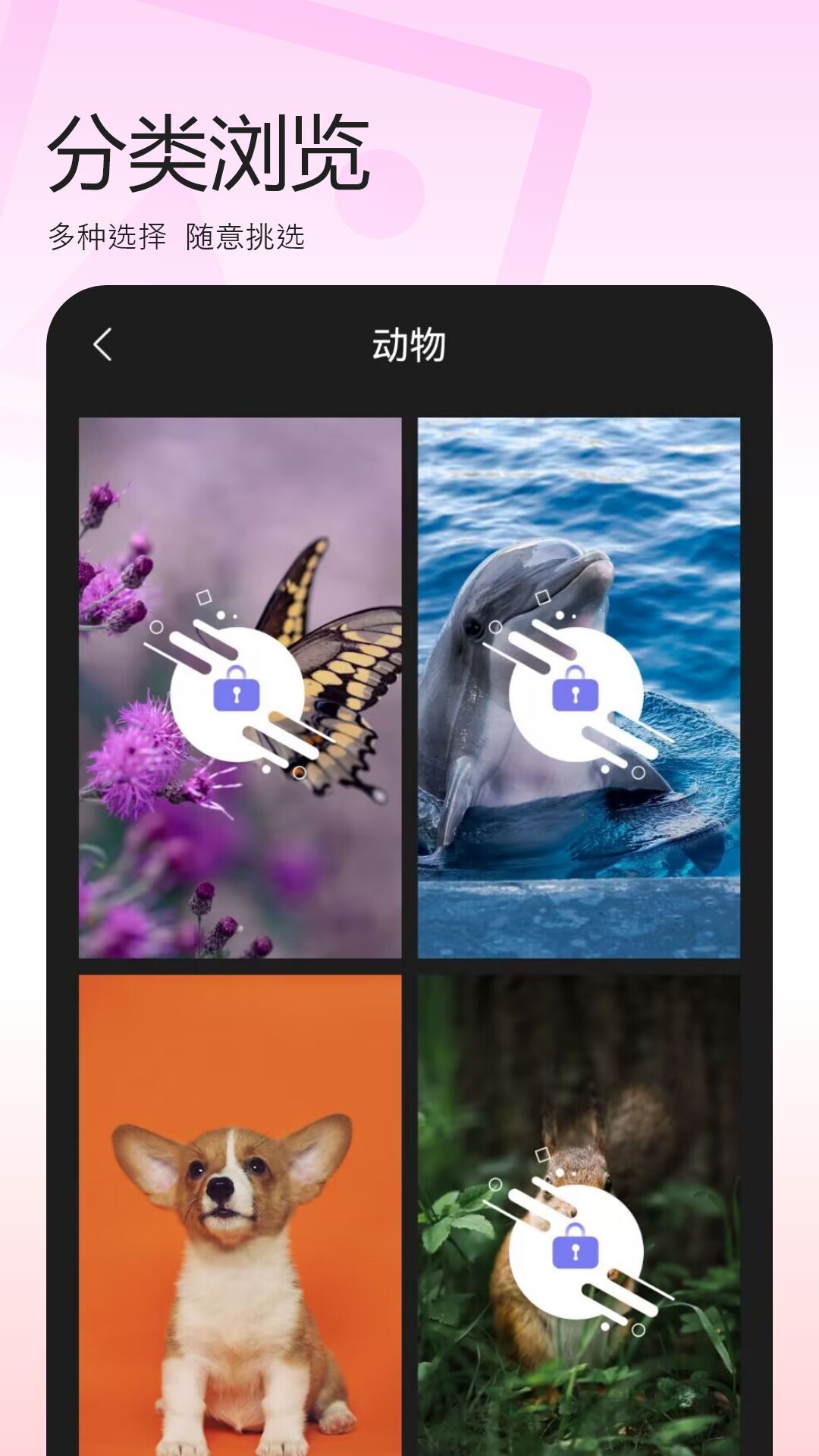 百变换壁纸 7.0 安卓版 1