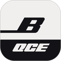 Bose QCE