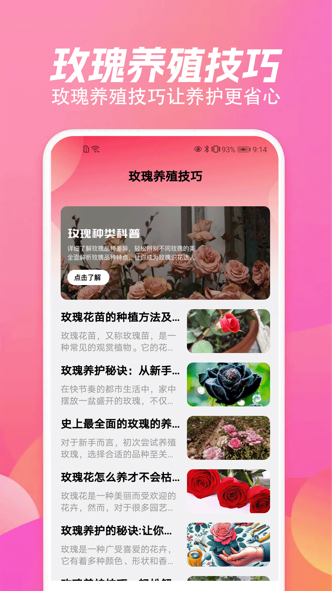 玫瑰 5.1 安卓版 2