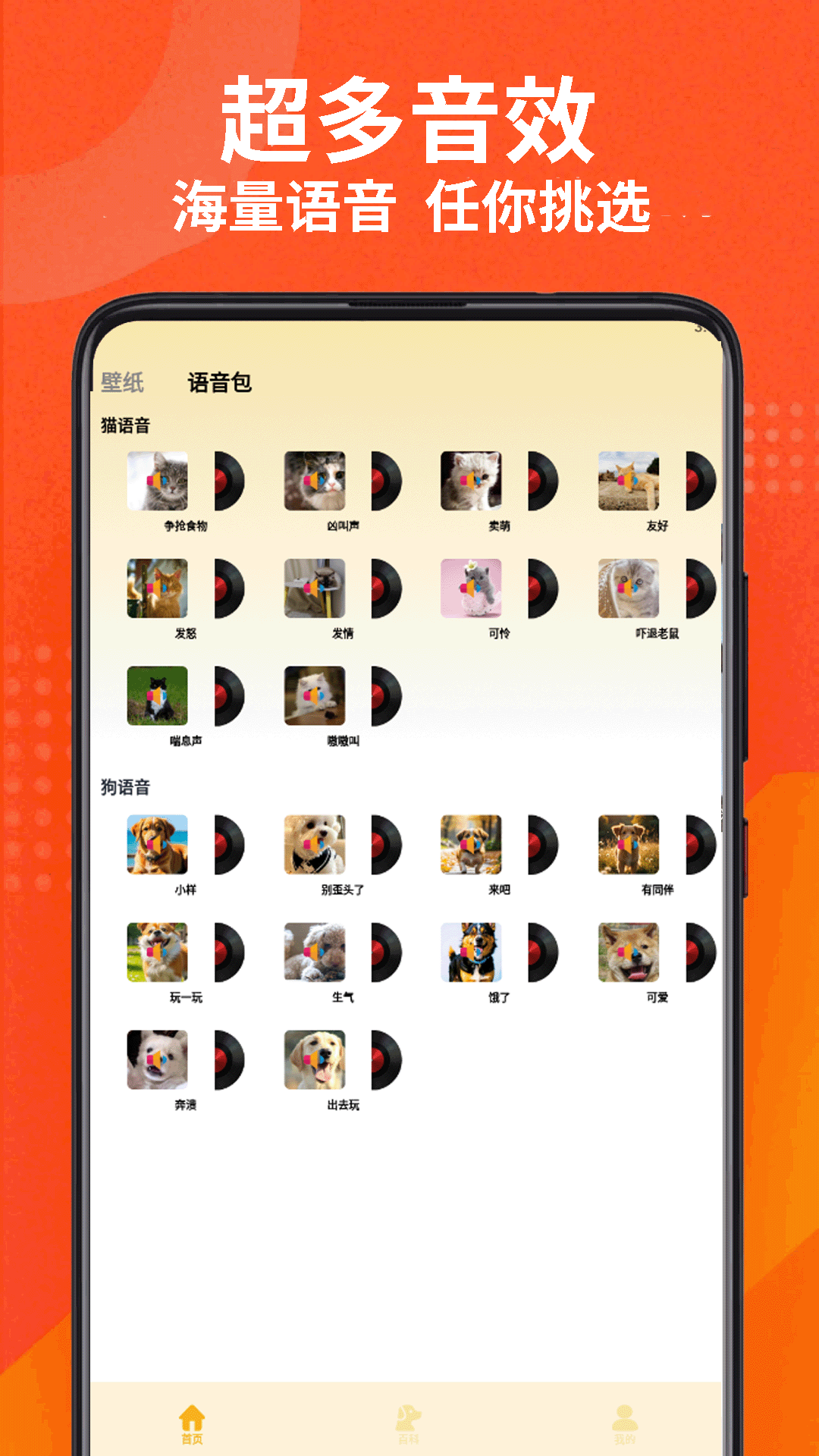 小猫的生活 5.1 安卓版 1