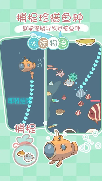水族物语 5.73 安卓版 0