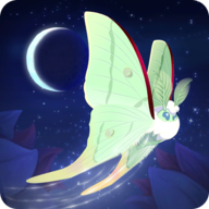 彩翼之星夜无限荧光币版