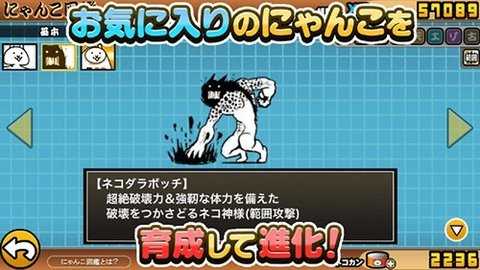 猫咪大战争无广告版 15.6.1 安卓版 1