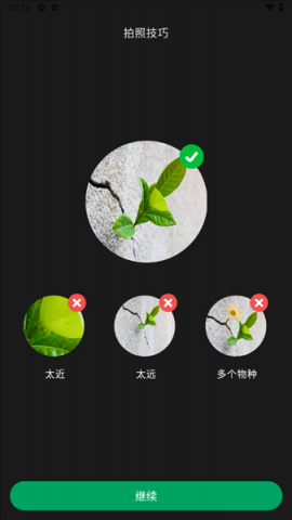 PictureThis 5.38.0 安卓版 1