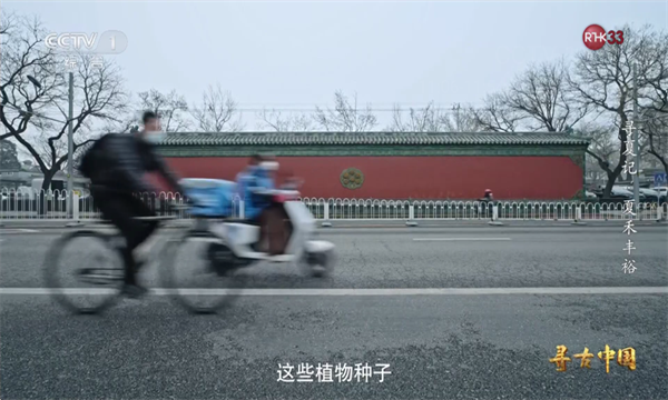 晨星电视apk最新版